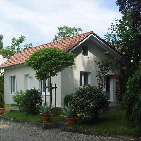 Villa Maja 马克多夫 外观 照片