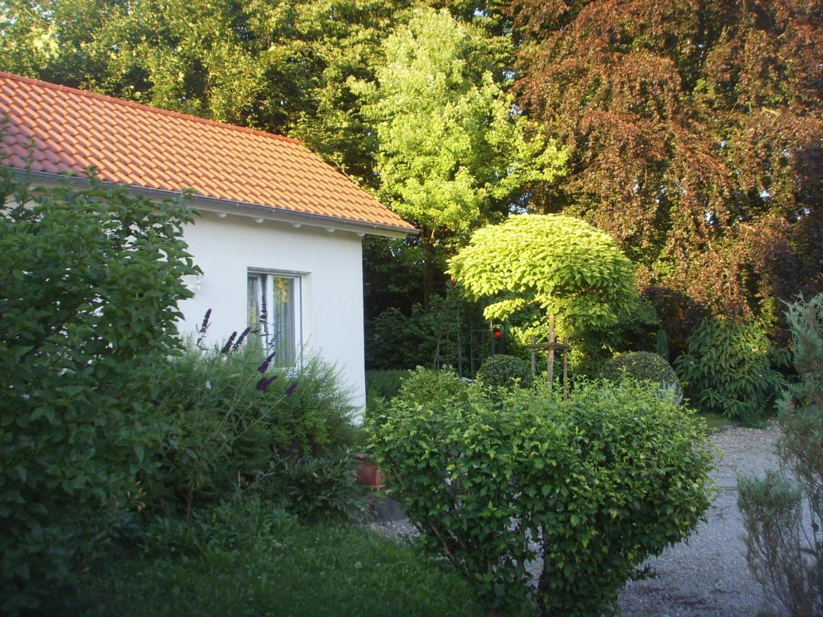 Villa Maja 马克多夫 外观 照片
